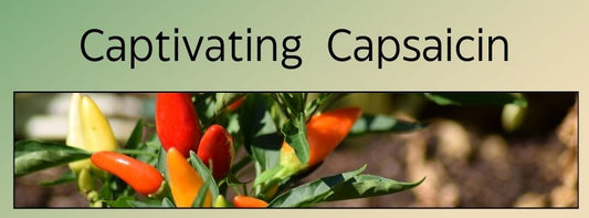 Captivating Capsaicin
